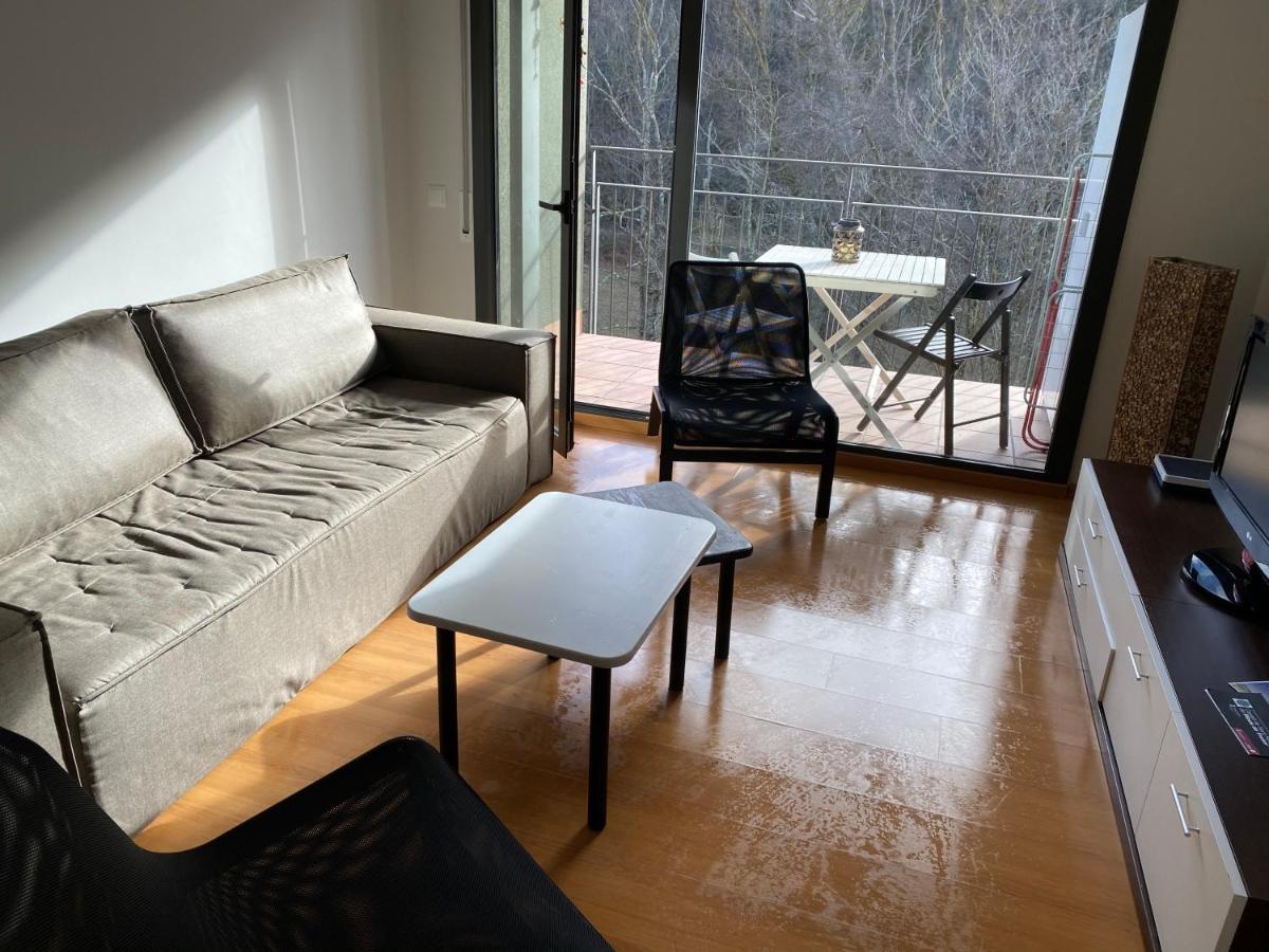 Duplex Roca Del Sucut Apartment Ribes De Freser Bagian luar foto