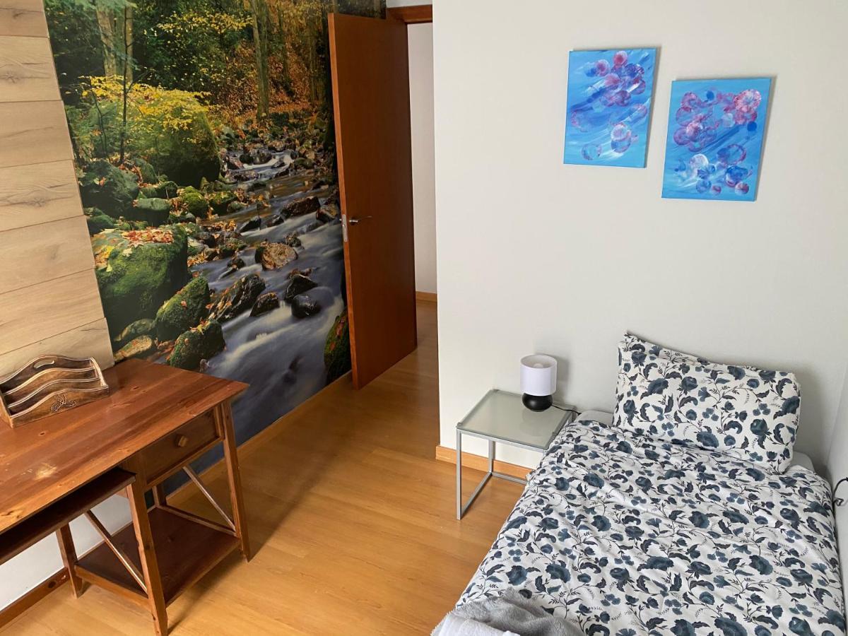 Duplex Roca Del Sucut Apartment Ribes De Freser Bagian luar foto